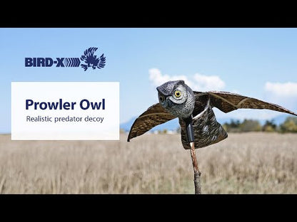 Bird-X® Prowler Owl | Dimensions 44˝ Wingspan 23˝ Total head to Tail 6˝ Head Diameter