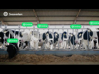 Sveaverken MooCollar Bree-Heat Detection And Health Monitoring For Dairy