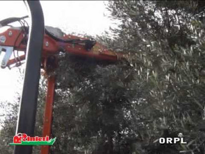 Rinieri Orchard Pruner ORPL 210+150 / 210+210 | Versatile Pruning With 83" Cutting Width for Tractor