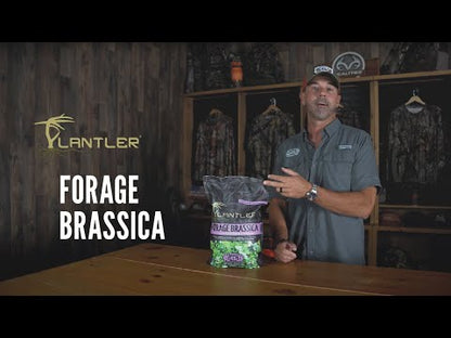 4S Advanced Wildlife Solutions Fall Food Plot Seeds | Harvest Advantage, Forager Plus, Brassica, Everlast, Blow-Till & Field Shield | Fall & Winter Deer Food Plot Seed