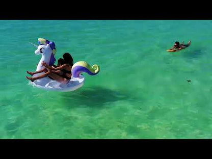 Lefeet Versatile Modular Water Scooter | Model Seagull C1 | Length 15.98" | Thrust 8 kgf | Depth 30m | For Scuba & SUP