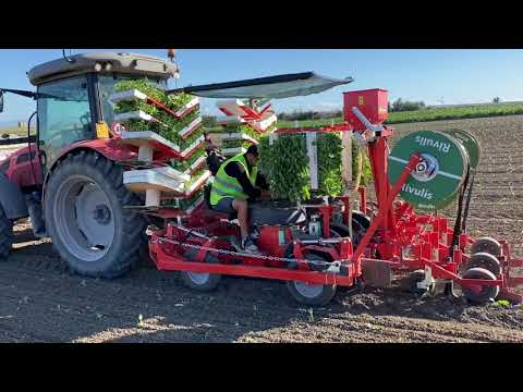 4 row tobacco setter for sale Checchi & Magli Transplanter Unitrium45 | 1-6 Rows 4 row tobacco setter for sale Checchi & Magli Transplanter Unitrium45 | 1-6 Rows