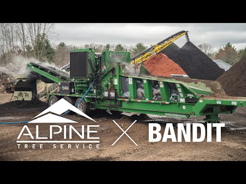 Bandit Beast Horizontal Grinder | 2025 Model 3680XP - Track