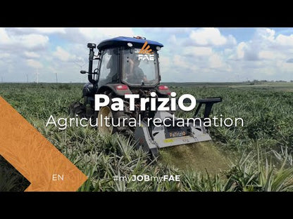 FAE | Patrizio Mulcher | Model 150 To 200 | Width 58" to 77" | Shreds Up to 6" Inches Diameter | Bite Limiter Rotor | Horsepower 50–100 HP | For Tractors