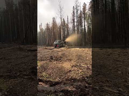 2025 Prinoth Track Mulcher Carrier Vehicle | Model T-Rex 300 | Engine Horsepower 260 HP | For Land Clearing