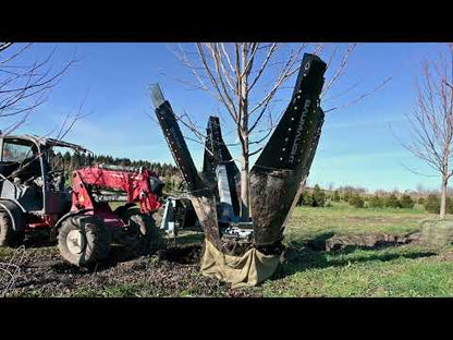 Baumalight Industrial Tree Spade | Model DR-448 | Width 48" | Opening Width 30" | Hydraulic Flow 10–35 GPM | For Skid Steers