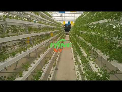 Lyine 12P Vertical Hydroponic Tower - Space-Efficient, High-Yield Growing Solution | 100 L Water Tank