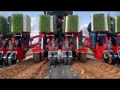 Checchi & Magli Transplanter WOLFPRO Compact | 2-6 Rows | 79"-138" Frame Width | 30-85 HP For Tractor