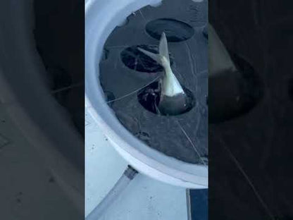 R&R Tackle Co. Bait Tube System | Small, Medium & Large Sizes | Multiple Mounting Options | Tangle-Free Live Bait Storage