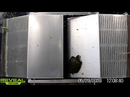 ASF Aluminum Turtle Trap | Capacity 2 Gravity Catch Ramps | Width 24" inches