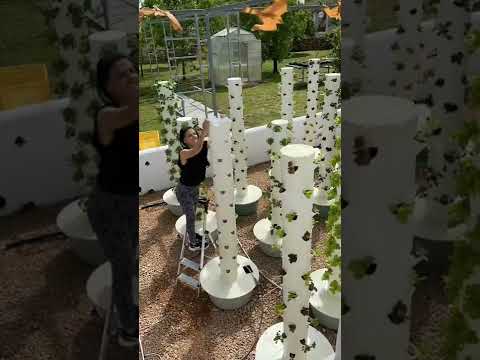 9 plant hydroponic system Lyine Hydroponic System Vertical Planter | 9-Layer Aeroponics Tower