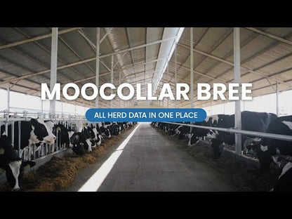 Sveaverken MooCollar Bree-Heat Detection And Health Monitoring For Dairy