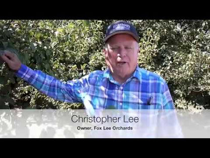 Infaco | Electrocoup F3015 Medium Head Complete Shear | 1.8˝ Cutting Capacity