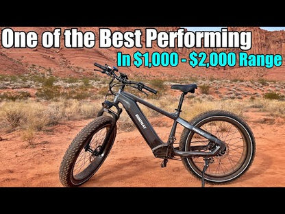 Himiway D5 ST (Zebra ST) | Premium All-terrain Electric Fat Bike | 500W Mid-Drive Motor | 60-80 Miles Per Charge