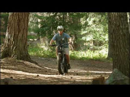 Himiway | Electric Bike | Model D7 Pro Mountain | 1000 W Mid-Drive Motor (1.34 HP) | 26 x 4.0” Fat Tires | 60 To 80 Mile Range | 400 lb Payload | 160 Nm Torque | For Extreme Trail & Backcountry Riding