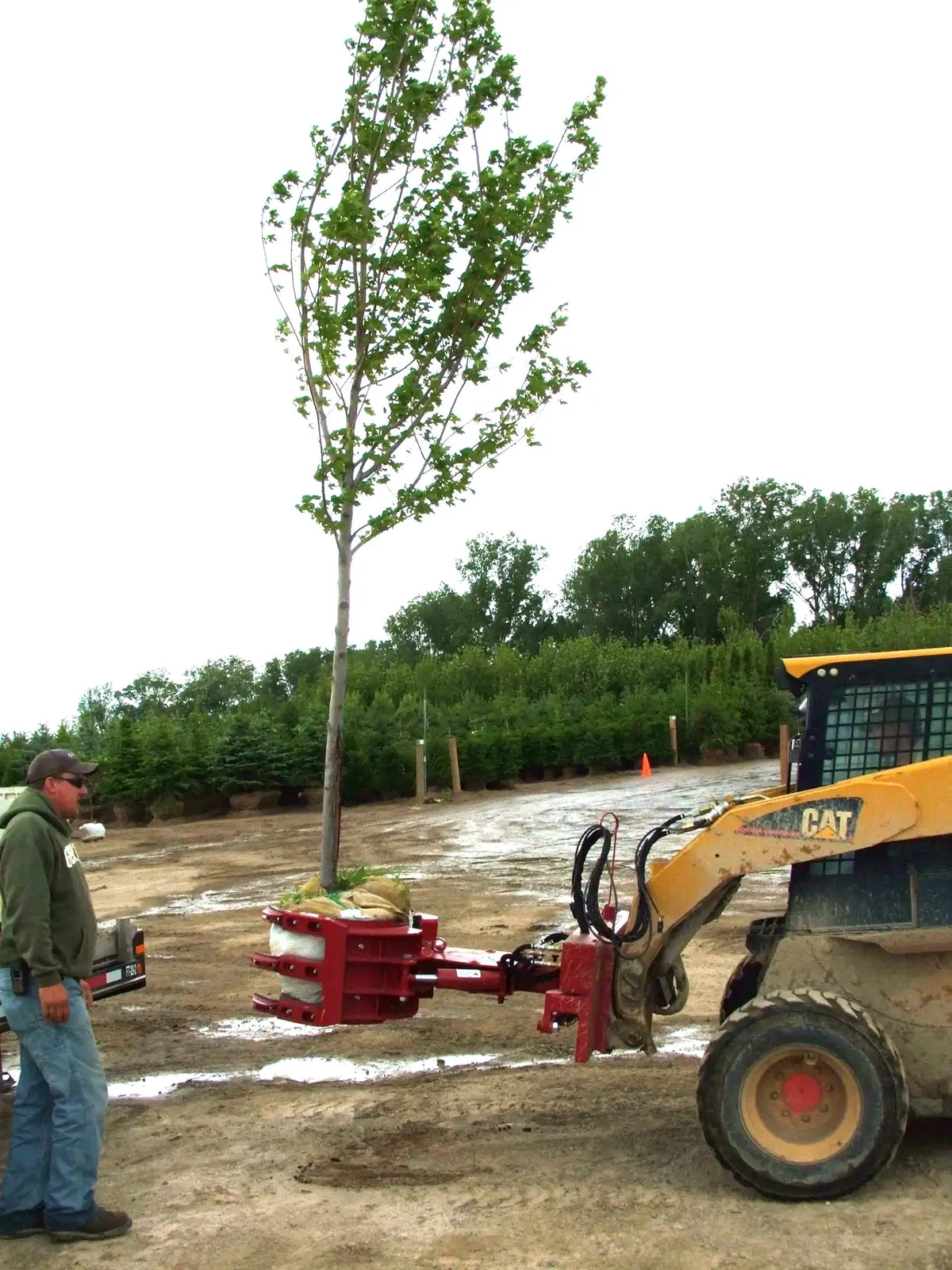Ez Spot Ur Attachment 5 Finger Rock & Tree Hand | Model EZ-2010 | 42" Opening | 20–30 GPM | 3–5 Ton | For Skid Steer, Compact Track Loaders, Wheel Loaders, Excavators, Mini Excavators, Telehandlers & Backhoes