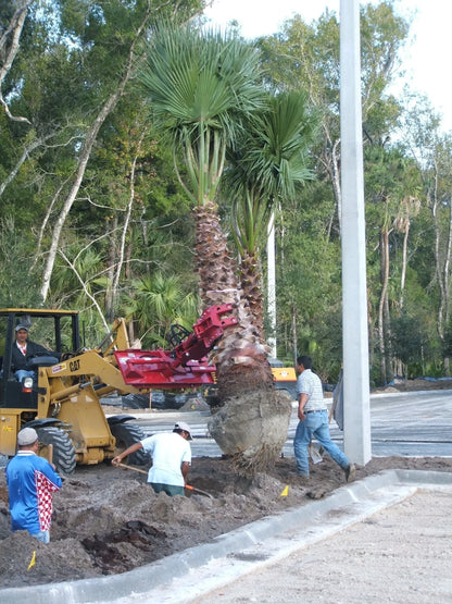 Ez Spot Ur Attachment 5 Finger Rock & Tree Hand | Model EZ-2010 | 42" Opening | 20–30 GPM | 3–5 Ton | For Skid Steer, Compact Track Loaders, Wheel Loaders, Excavators, Mini Excavators, Telehandlers & Backhoes