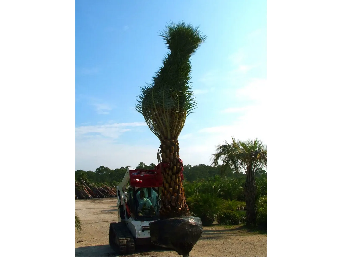 Ez Spot UR Attachment 3 Finger Rock & Tree Hand | Model EZ-0010 | 20–30 GPM | 3–5 Tons | For Skid Steer, Compact Track Loaders, Wheel Loaders, Excavators, Mini Excavators, Telehandlers & Backhoes
