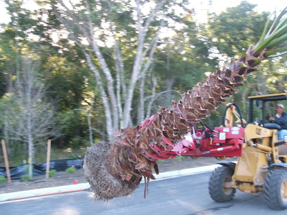 Ez Spot Ur Attachment 5 Finger Rock & Tree Hand | Model EZ-2010 | 42" Opening | 20–30 GPM | 3–5 Ton | For Skid Steer, Compact Track Loaders, Wheel Loaders, Excavators, Mini Excavators, Telehandlers & Backhoes