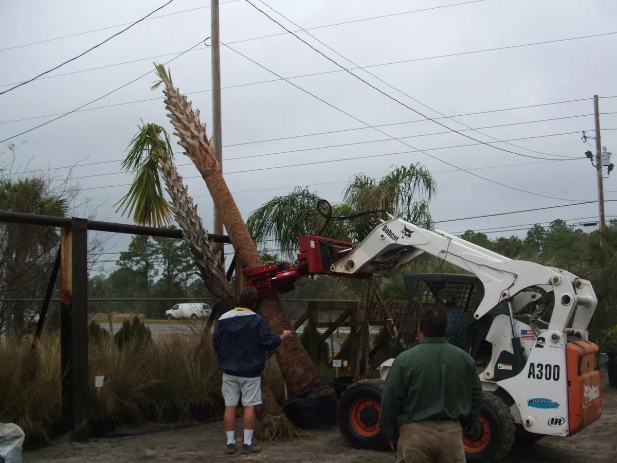 Ez Spot Ur Attachment 5 Finger Rock & Tree Hand | Model EZ-2010 | 42" Opening | 20–30 GPM | 3–5 Ton | For Skid Steer, Compact Track Loaders, Wheel Loaders, Excavators, Mini Excavators, Telehandlers & Backhoes