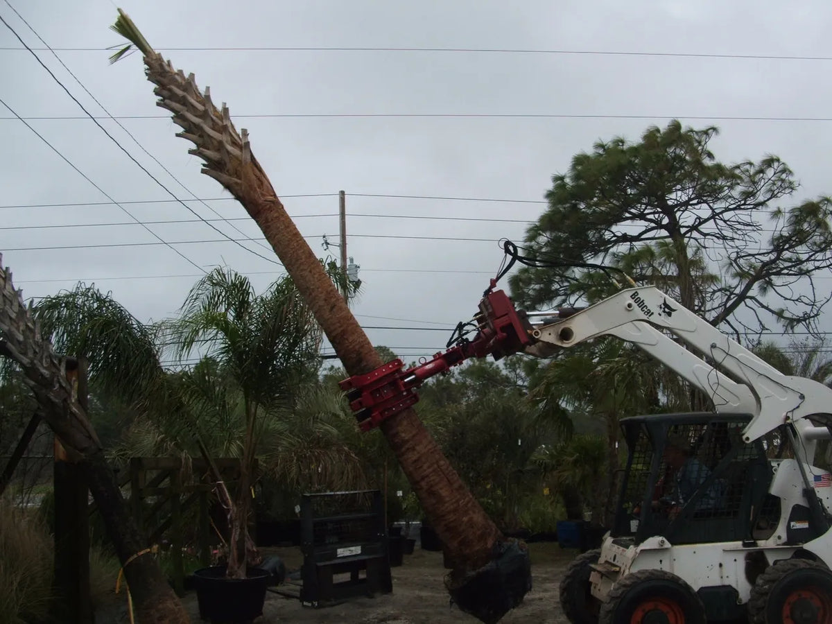 Ez Spot Ur Attachment 5 Finger Rock & Tree Hand | Model EZ-2010 | 42" Opening | 20–30 GPM | 3–5 Ton | For Skid Steer, Compact Track Loaders, Wheel Loaders, Excavators, Mini Excavators, Telehandlers & Backhoes