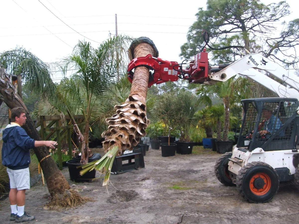 Ez Spot Ur Attachment 5 Finger Rock & Tree Hand | Model EZ-2010 | 42" Opening | 20–30 GPM | 3–5 Ton | For Skid Steer, Compact Track Loaders, Wheel Loaders, Excavators, Mini Excavators, Telehandlers & Backhoes