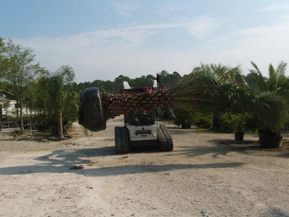Ez Spot UR Attachment 3 Finger Rock & Tree Hand | Model EZ-0010 | 20–30 GPM | 3–5 Tons | For Skid Steer, Compact Track Loaders, Wheel Loaders, Excavators, Mini Excavators, Telehandlers & Backhoes