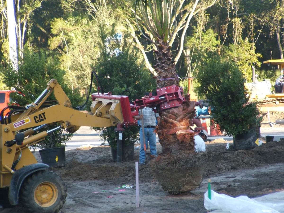 Ez Spot Ur Attachment 5 Finger Rock & Tree Hand | Model EZ-2010 | 42" Opening | 20–30 GPM | 3–5 Ton | For Skid Steer, Compact Track Loaders, Wheel Loaders, Excavators, Mini Excavators, Telehandlers & Backhoes