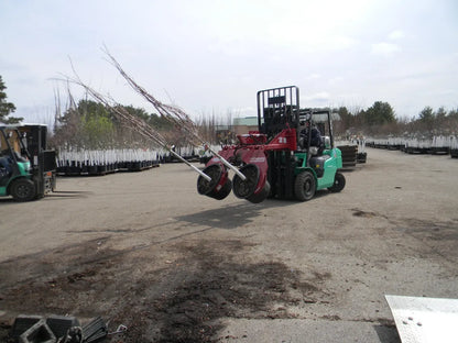EZ Spot UR Attachment Double Pot Tool | Model EZ-2002 | Jaw Opening 24.5" | 20–30 GPM | For Skid Steer & Forklift