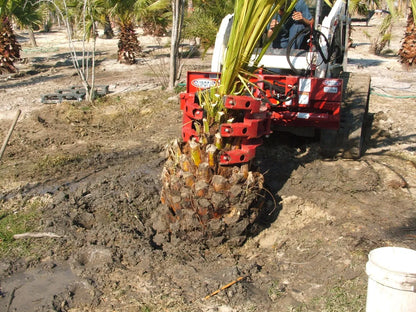 Ez Spot Ur Attachment 5 Finger Rock & Tree Hand | Model EZ-2010 | 42" Opening | 20–30 GPM | 3–5 Ton | For Skid Steer, Compact Track Loaders, Wheel Loaders, Excavators, Mini Excavators, Telehandlers & Backhoes