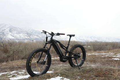 Bakcou Scout Fat Tire Electric Bike | Standard Shifting Options | Battery 48 Volt Lithium-Ion