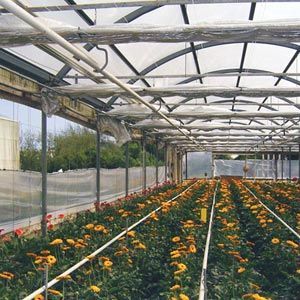 FarmTek GrowSpan Series 1000 Commercial Greenhouse Systems
