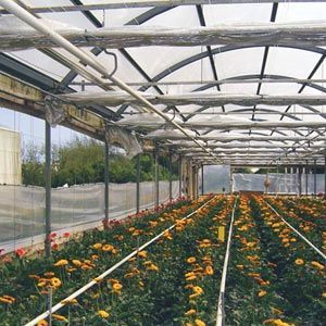 FarmTek GrowSpan Series 1000 Commercial Greenhouse | Durable Galvanized Steel Frame | Customizable Ventilation & Door Options