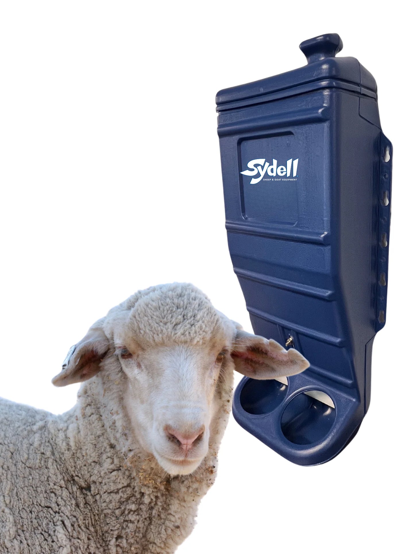 Sydell Blue Poly Mineral & Grain Feeder | #1013C / #1013 | 25 lb Capacity | For Sheep & Goat