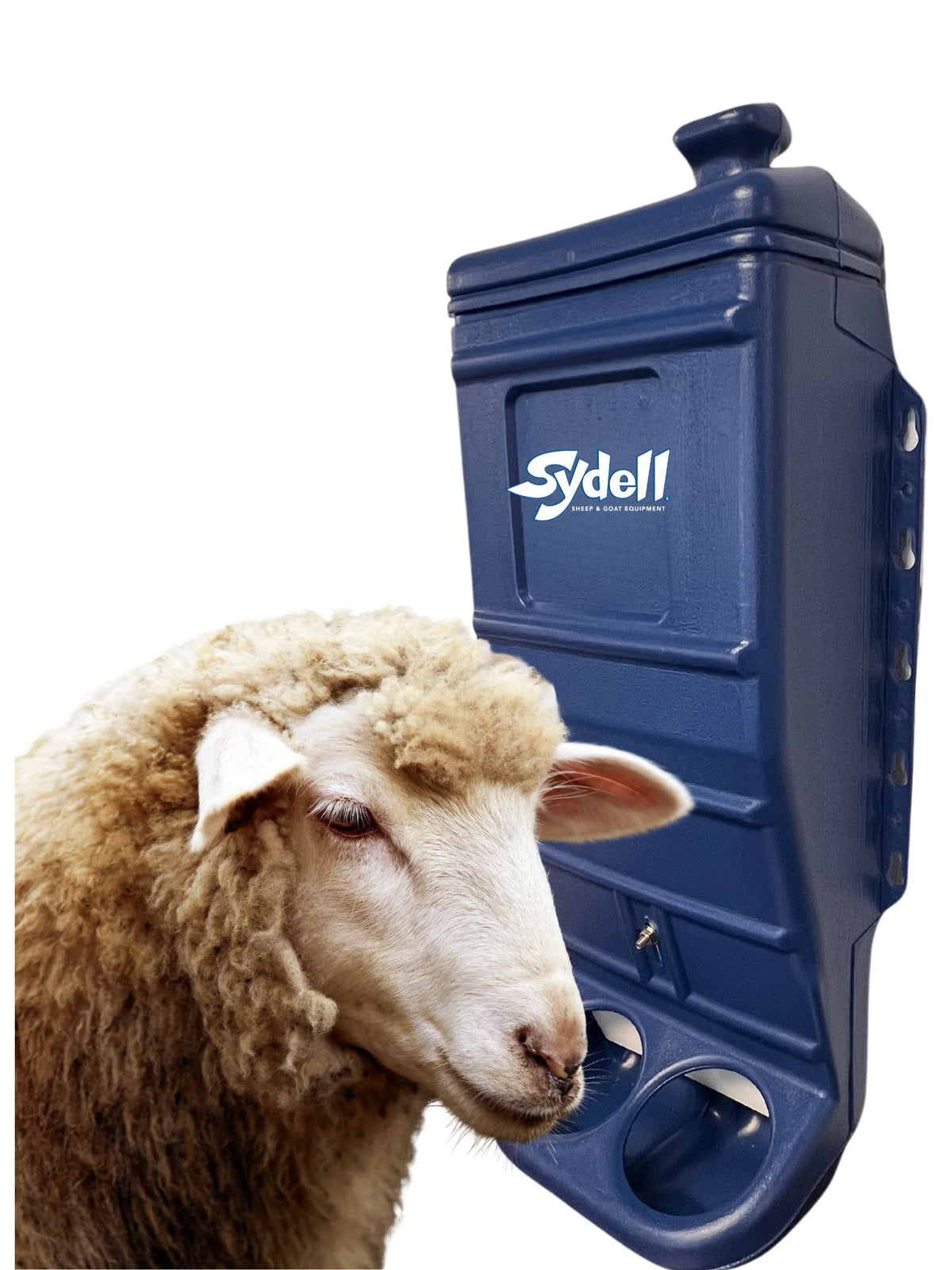 Sydell Blue Poly Mineral & Grain Feeder | #1013C / #1013 | 25 lb Capacity | For Sheep & Goat