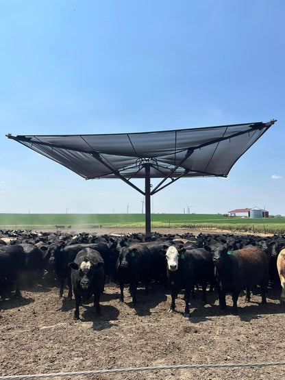 Mohr Shade Drop Shade | Size 10' x 10' | Adjustable Height | Wind-Resistant | For Outdoor Shade Structure