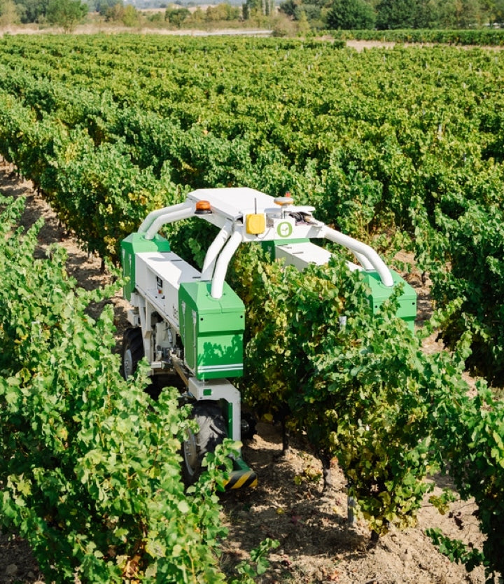 Naio Technologies Ted Vineyard Robot | Precision Mechanical Weeding | 100% Electric | Up to 5ha/day | GPS RTK Navigation