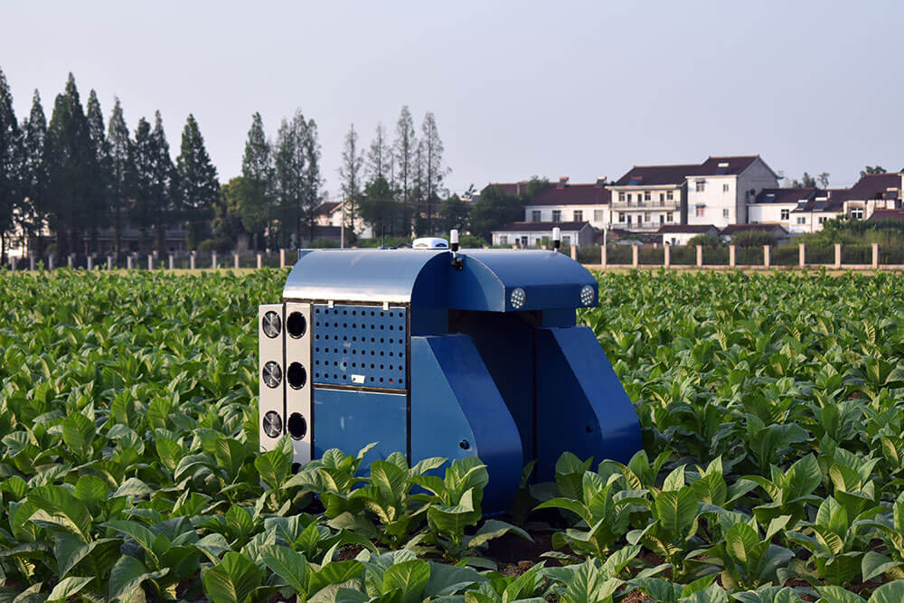 LJ-TECH AG TOBACCO PLANT PROTECTION SPRAYER ROBOT WITH 200L BOX CAPACITY