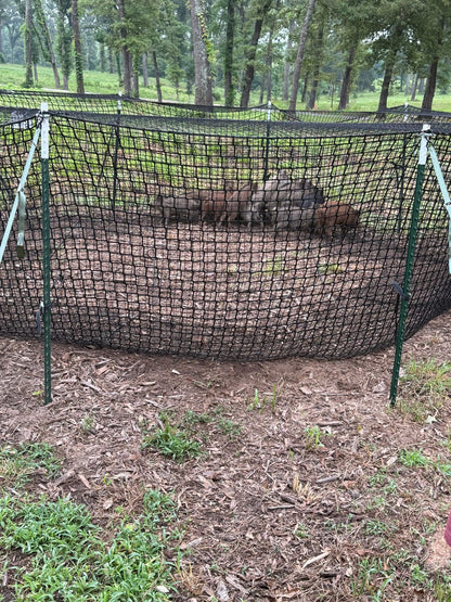 Pig Brig Portable Multi-Catch Wild Hog Trap | Size 20' | Double-Wall Hog Trap Net | Multi-Catch Wild Boar Control