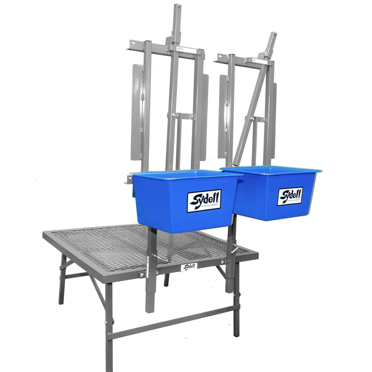 Sydell 2-Head Sheep & Goat Milking Stanchion | #1052 | 36" Deck | Auto Head Lock | Dairy Farm