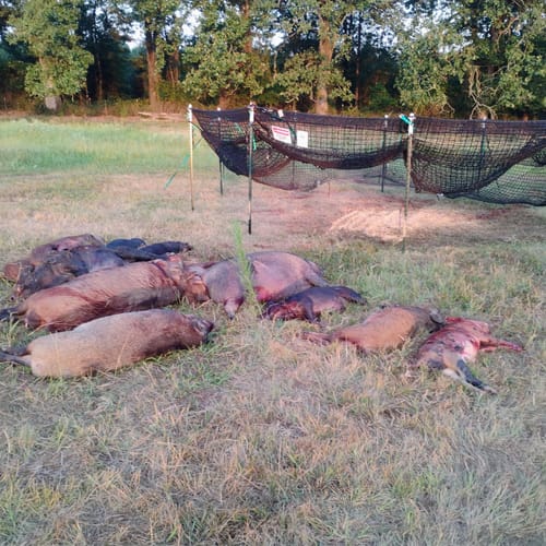 Pig Brig Portable Multi-Catch Wild Hog Trap | Size 20' | Double-Wall Hog Trap Net | Multi-Catch Wild Boar Control