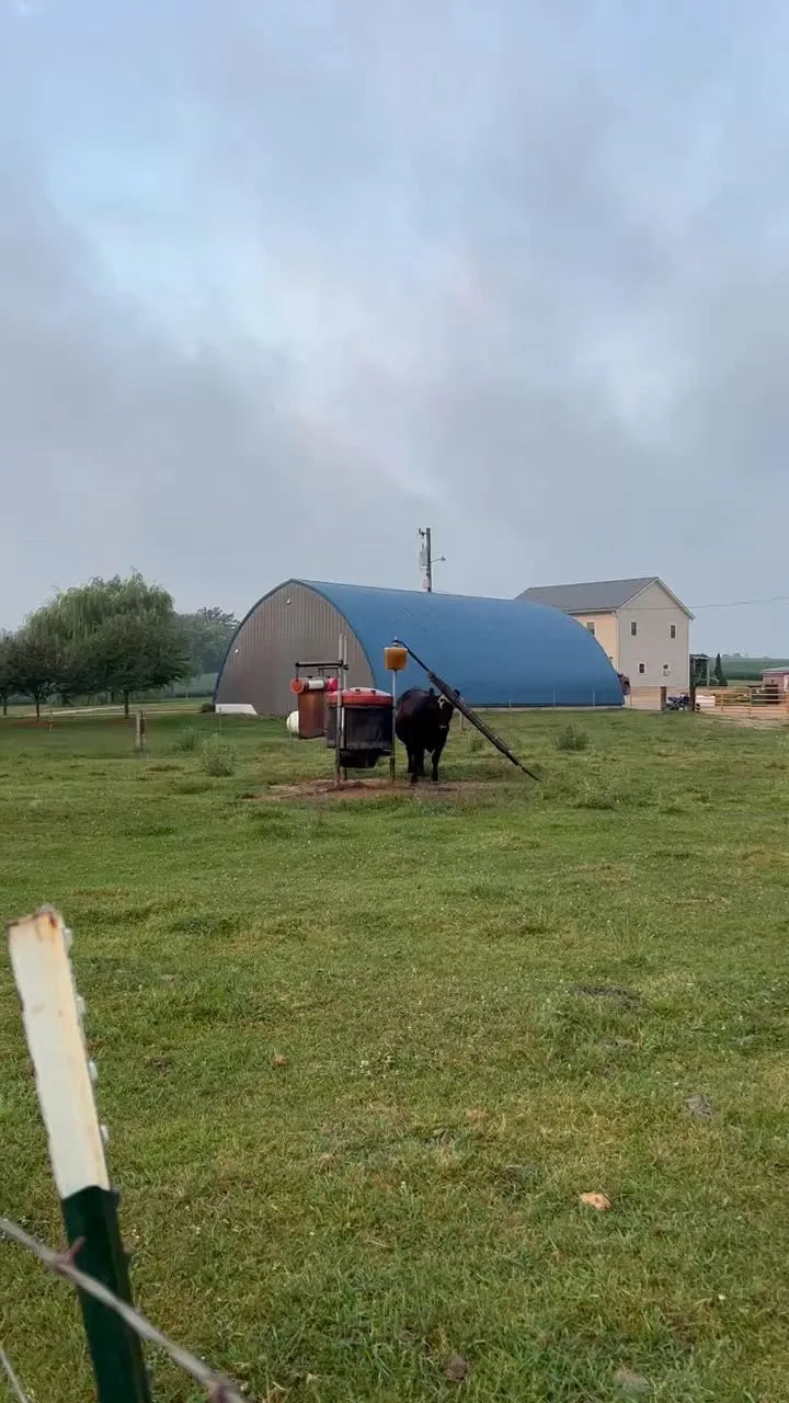 Easy Way Cattle Saver | Cattle Pest Control Station | Width Not Specified | For Livestock & Ranch Use