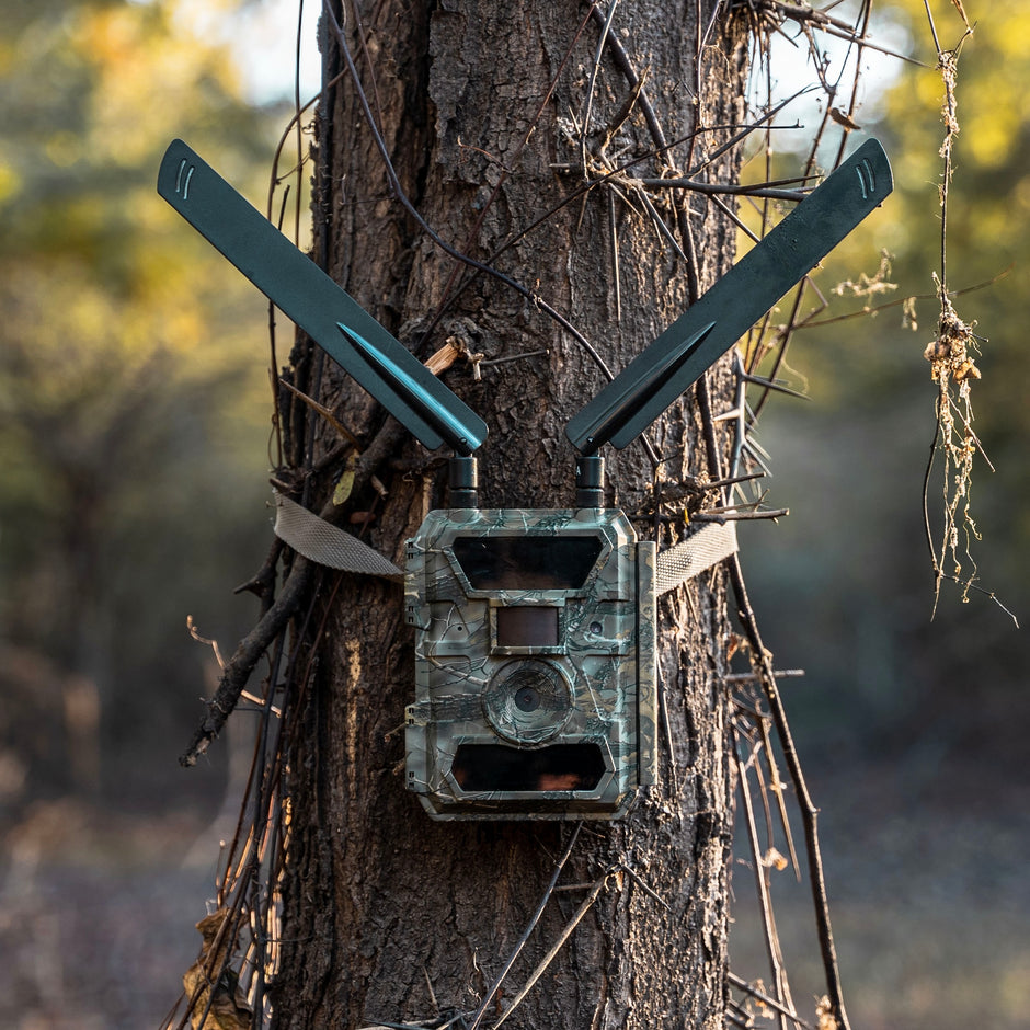 Camera Raipping WiseEye Cameras – Ripping It Outdoors