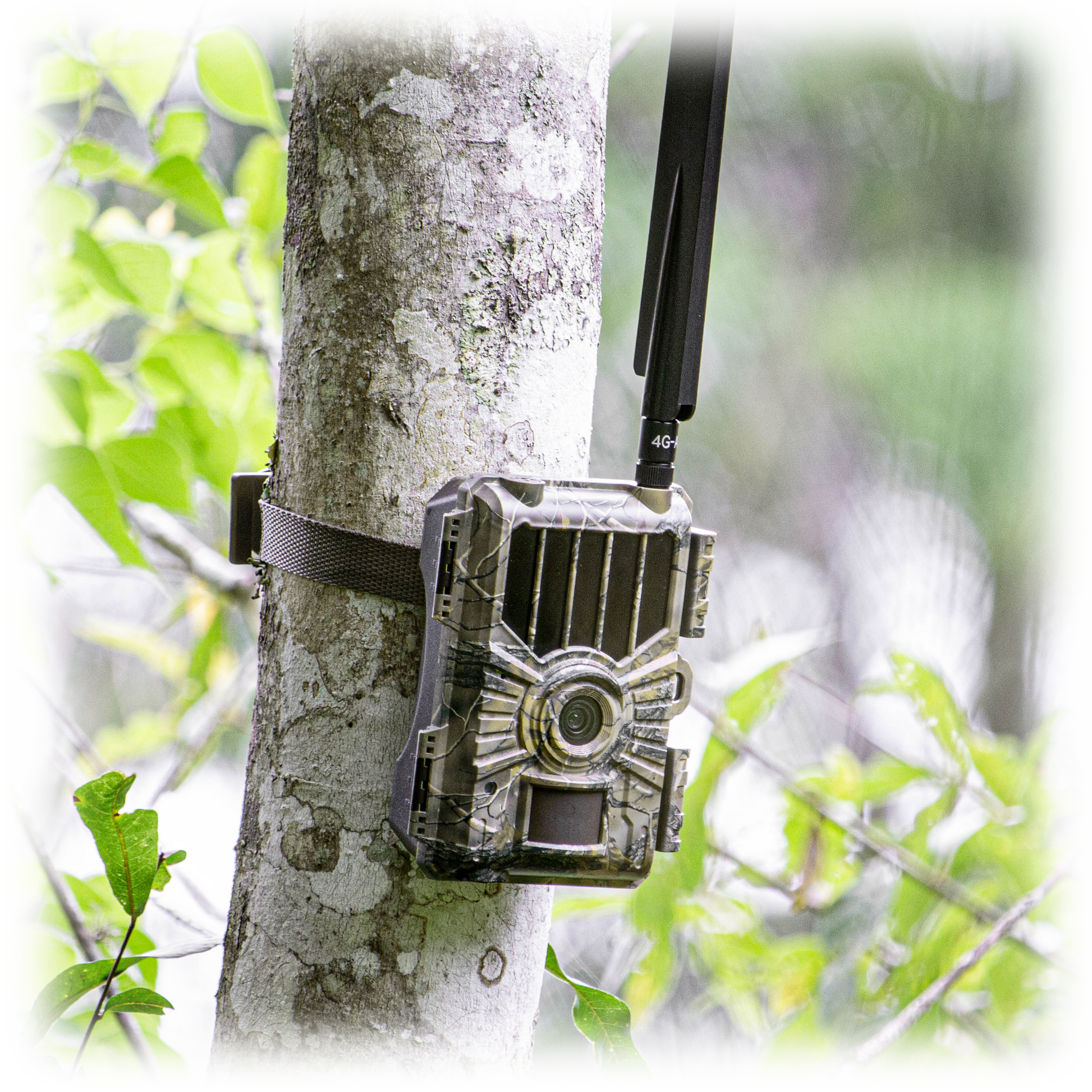 WiseEye Mini Cam Cellular Service ATT Verizon Image Sensor