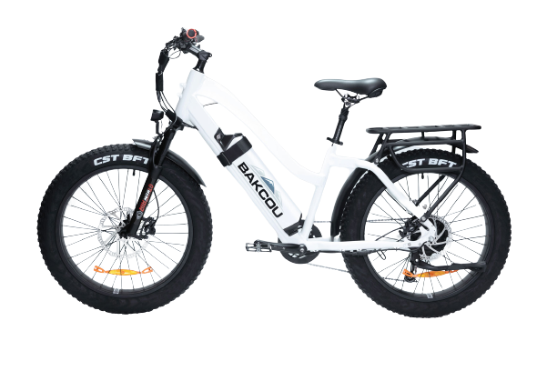 Bakcou E Bikes Flatlander Step-Through (ST) 24" Tires Full Suspension Electric Bikes