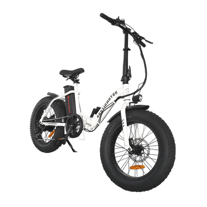 AOSTIRMOTOR 500W LOW STEP FAT TIRE G20