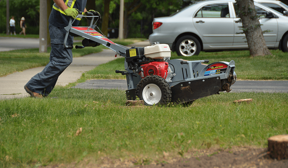 Baumalight Walk Behind Stump Grinder | Model WB44 | Width 29.75" | Length 80" | Engine Horsepower 13 HP