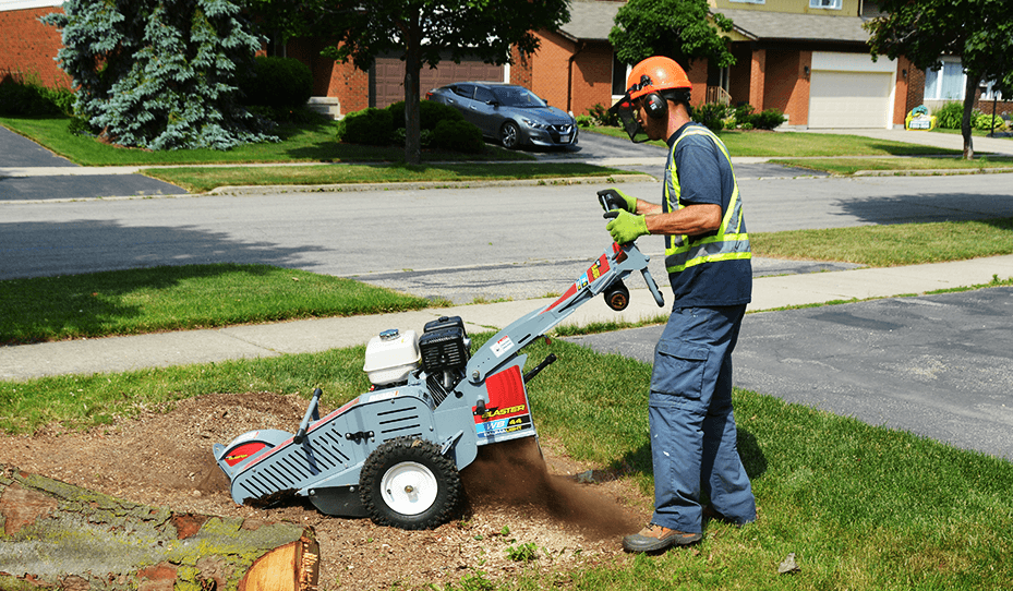 BAUMALIGHT WB44 Walk Behind STUMP GRINDER