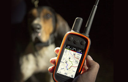 Garmin Alpha 100 Handheld with TT™ 15 Mini Dog Device